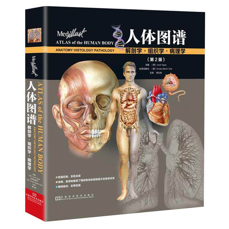 【正版书】 人体图谱:解剖学 组织学 病理学 [西]Jordi Vigue 著,李云庆 主译 河南科学技术出版社