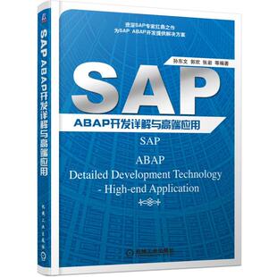 【正版】SAP ABAP开发详解与高端应用 孙东文、郭欢、张岩