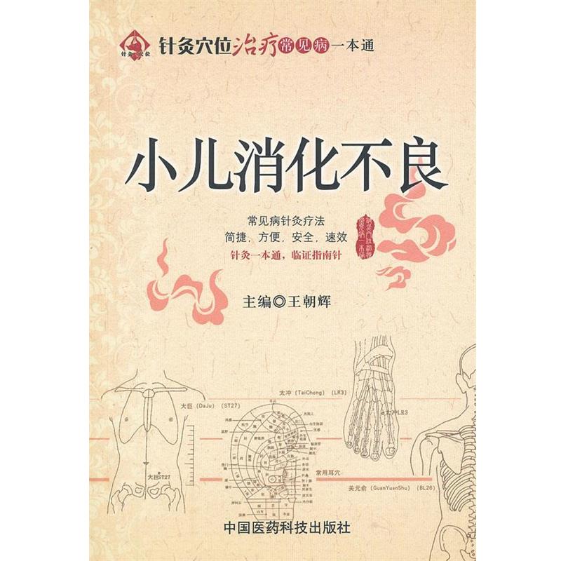 【正版书】 小儿 王朝辉 编 中国医药科技出版社