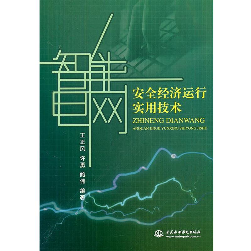 【正版】智能电网安全经济运行实用技术 王正风