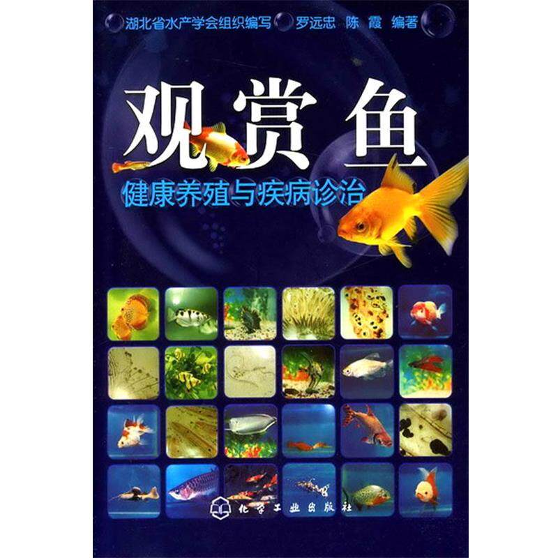 【正版书】 观赏鱼健康养殖与疾病诊治 罗远忠,陈霞 编著 化学工业出版社