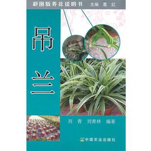【正版书】 彩图版养花说明书 吊兰 刘青,刘青林　编著 中国农业出版社