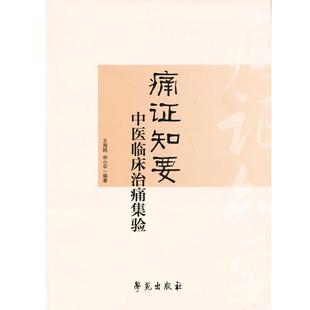 中医临床治痛集验 痛证知要 申小平；王海鸥 正版