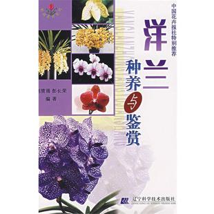 【正版】洋兰种养与鉴赏 刘清涌、彭长荣