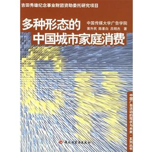 【正版书】 多种形态的中国城市家庭消费—中国广告活动的现状与未来系列丛书 黄升民 等著 中国轻工业出版社