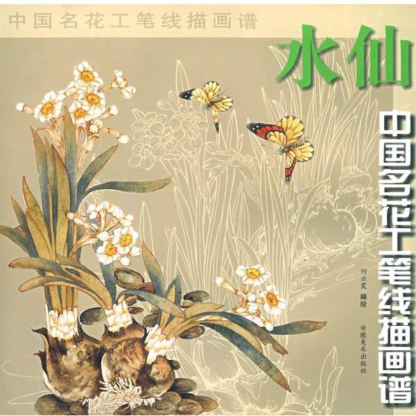 【正版书】 中国名花工笔线描---水仙 何云霞　编绘 安徽美术出版社
