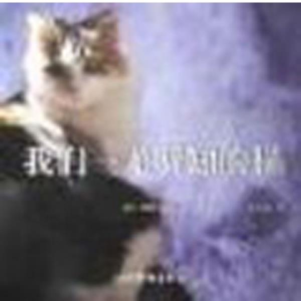 【正版】我们一无所知的猫 Conversations With Ca [美]凯特.萨丽斯蒂