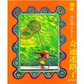 【正版】奇迹迷路了 幾米