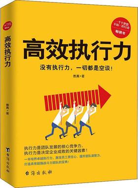【正版】高效执行力（没有执行力一切都是空谈一部打造超强战斗力团队的宝 善真