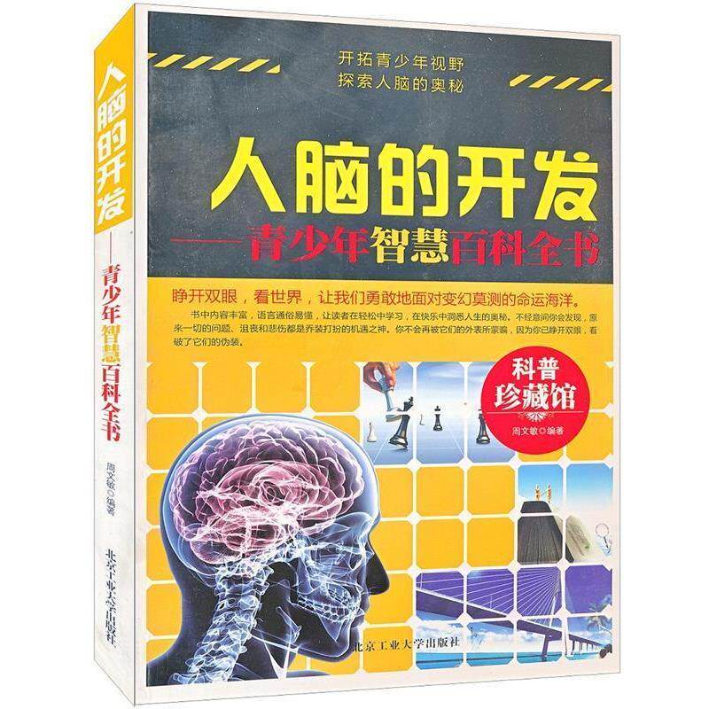【正版书】 人脑的开发—青少年智慧百科全书 周文敏　编著 北京工业大学出版社