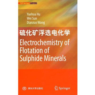 【正版书】 硫化矿浮选电化学 胡岳华,孙伟,王淀佐 著 清华大学出版社
