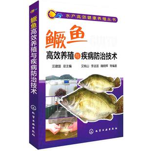 【正版书】 水产高效健康养殖丛书--鳜鱼高效养殖与疾病防治技术 艾桃山,李远国,魏朝辉,魏辉杰,魏丽英等 化学工业出版社
