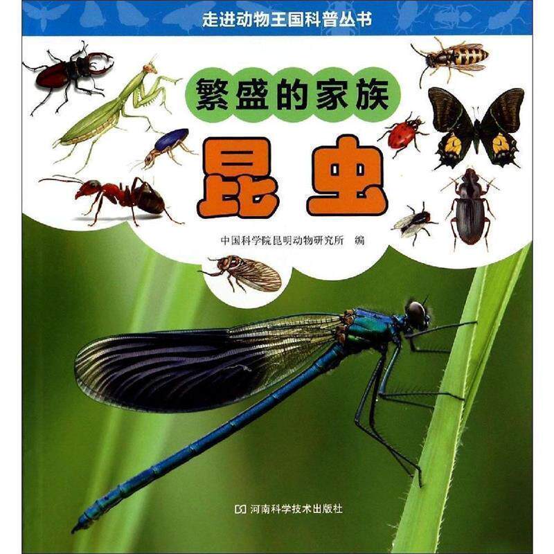 【正版书】 繁盛的家族昆虫 中国科学院昆明动物研究所 编 河南科学技术出版社