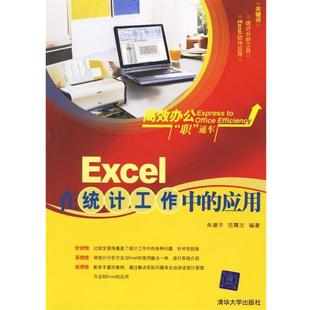 【正版书】 Excel在统计工作中的应用 朱建平,范霄文 著 清华大学出版社