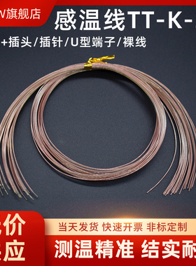美标进口测温线TT-K-30/36-SLE0.25细热电偶线KTJ型四氟感温线