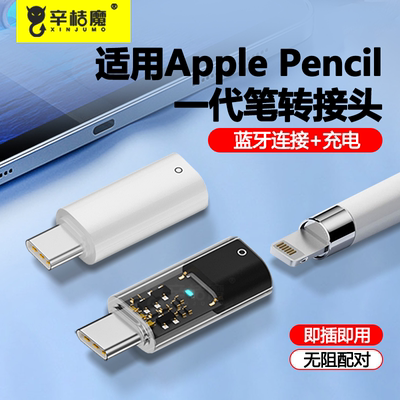 一代lightning母转typec公转接头