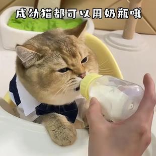 小猫奶瓶猫咪奶瓶宠物专用奶瓶奶嘴猫咪喂奶喂水1到3个月小狗用品