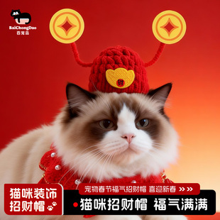 猫咪帽子宠物新年财神帽子中国风喜庆装扮手工编织狗狗项圈饰品
