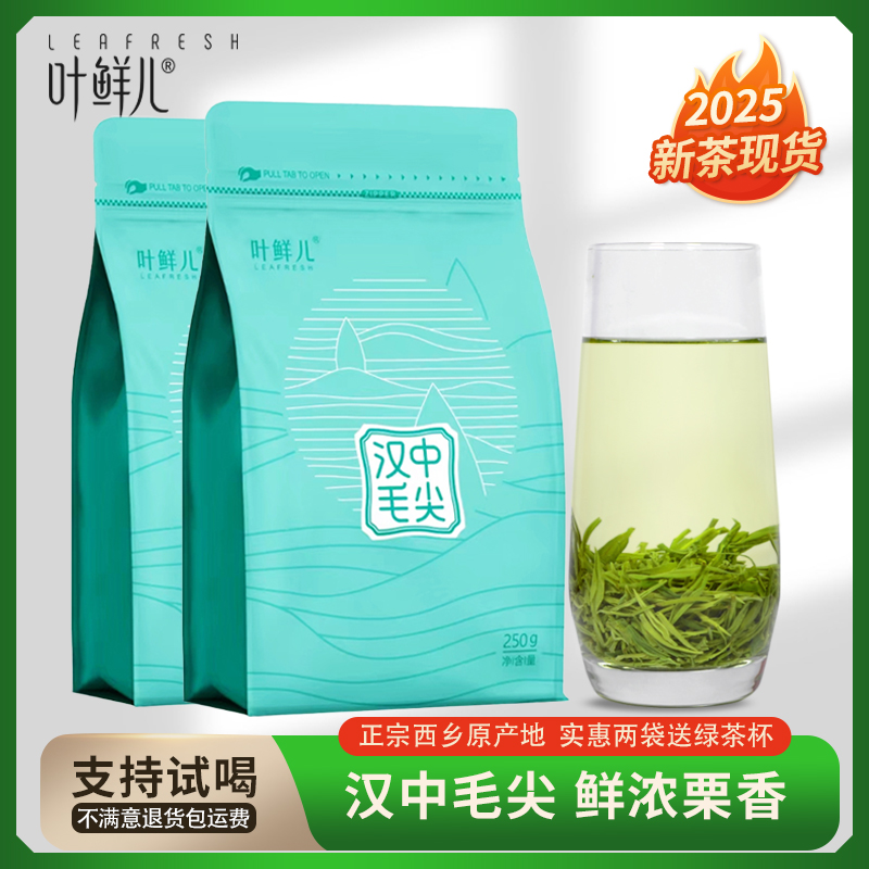 汉中毛尖绿茶特级雨前茶
