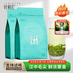 2025新茶汉中毛尖250克*2袋手工西乡绿茶叶雨前采摘浓香口粮茶