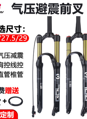 适用于捷安特自行车原装配件大全快拆前叉避震减震气压镁合金气叉