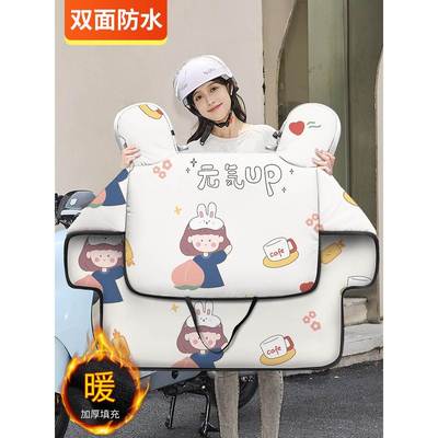 电动车用加绒2025新款特厚双面防水挡风被特大号三合一新型冬用