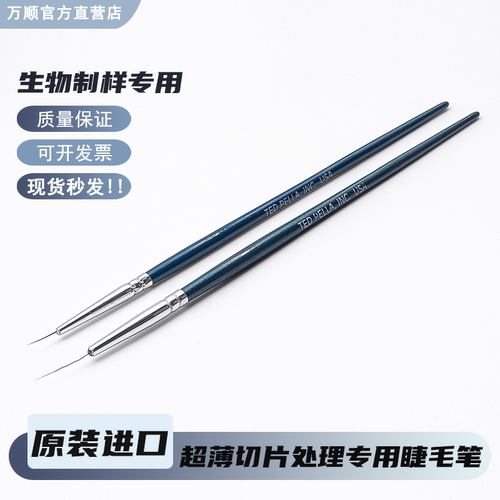 超细睫毛笔超薄切片处理生物制样