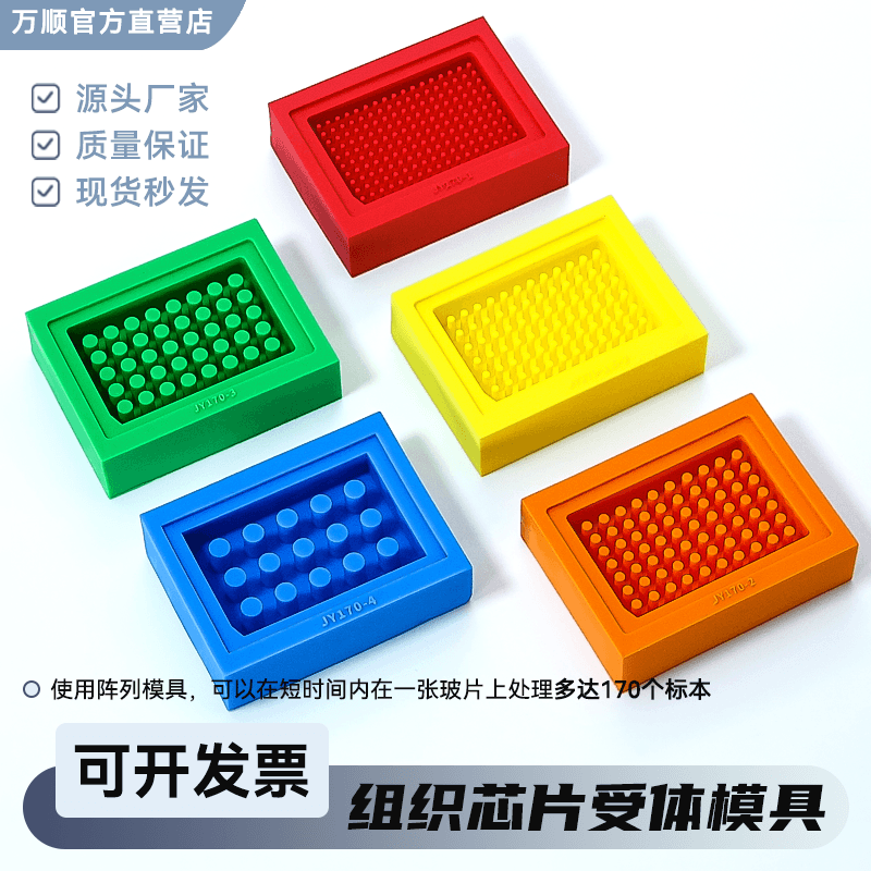 组织芯片MA受体模具打孔样品分析