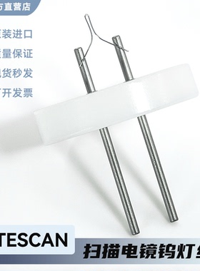 TESCAN VEGA系列SEM扫描电镜tescan钨灯丝10个/盒 泰思肯灯丝A047