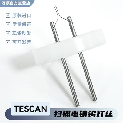 SEM扫描电镜钨灯丝泰思肯A047