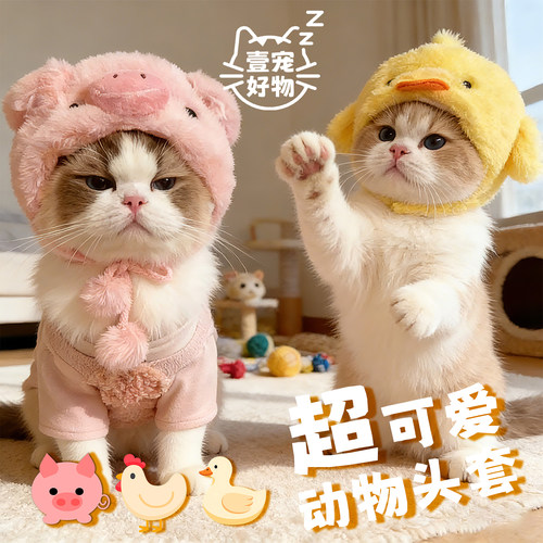猫咪可爱搞怪变装帽子宠物帽子狗狗小黄鸡头套卡通头饰出片道具