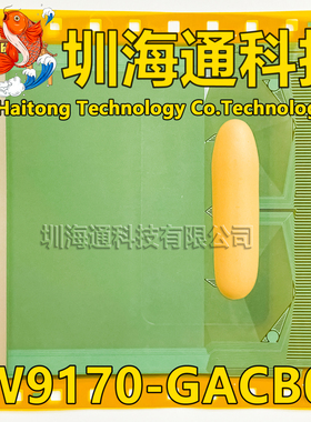 原型号EW9170-GACB02 全新卷料 液晶COF/TAB模块 现货直拍