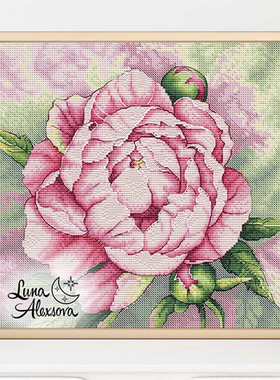 公主绣铺DMC自配套件纯棉线精准印花套件210617牡丹花芍药花