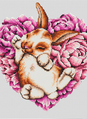 公主绣铺DMC自配套件纯棉线精准印花套件210701心形花环小兔子