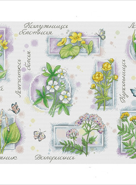 公主绣铺DMC自配十字绣纯棉线精准印花自配套件231030森林花园