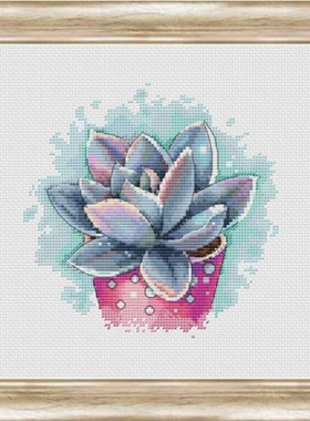 公主绣铺DMC自配套件纯棉线精准印花套件200606多肉植物