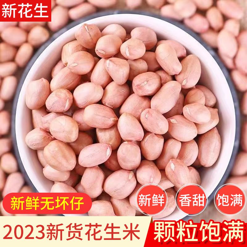 生新花生米2023白沙花生米干生花生仁去壳花生米包邮