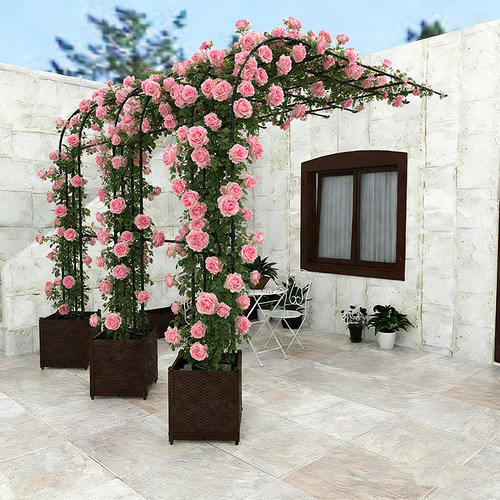 庭院花园半边拱门爬藤架花架