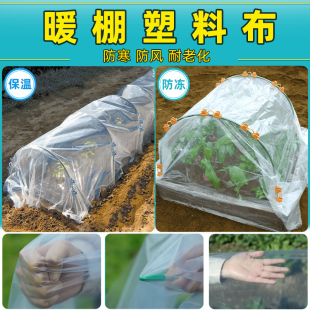 暖棚塑料布防冻抗寒透明薄膜大棚加厚耐老化农膜温室植物保温防寒