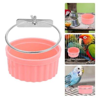 Parrot Food Bowl Pink Dog Bowls Chinchilla Feeding Tray Cat