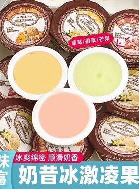 冷冻雪糕奶昔冰淇淋酸奶果冻整箱布丁学生儿童休闲夏日小零食食品