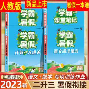 学霸暑假衔接一本通 经纶学典 2024年秋 任选 二升三年级 人教版 语文阅读集训预科班课堂笔记数学计算思维题大通关思维训练总复习