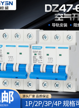空气开关DZ47 63A100A电闸开关小型断路器1P2P3P4P保护器家用空开