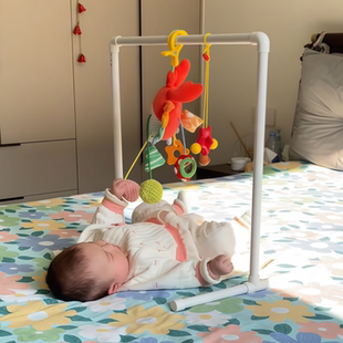 婴儿水管玩具架床铃支架宝宝消耗体力diy健身架哄娃解放双手吊杆