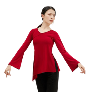2024秋新款舞蹈服装女成人显瘦练功服古典舞身韵形体服民族舞上衣