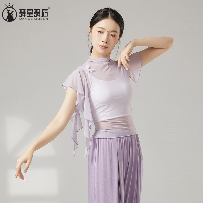 古典舞成人款女修身高领飘逸纱衣蝴蝶现代舞蹈服上衣演出练功服装