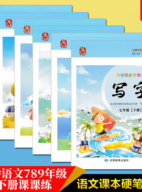 丁永康七7八8九9年级同步字帖