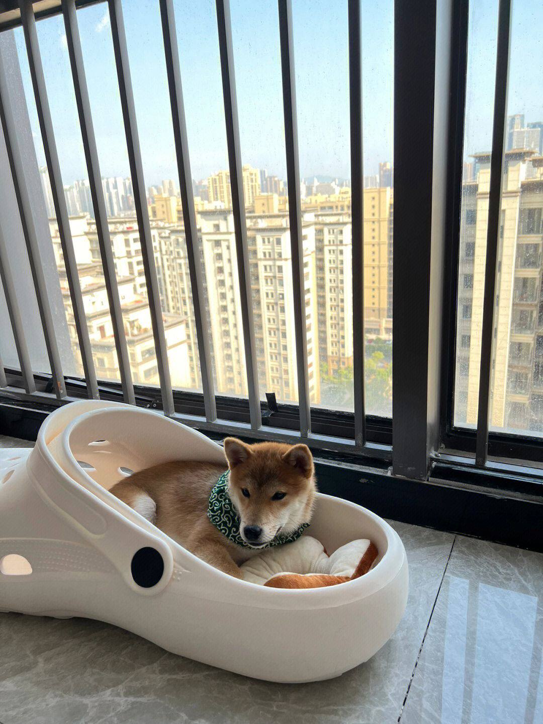 巨型大拖鞋狗窝猫窝超大洞洞鞋ins个性拍摄视频搞怪道具海边玩具