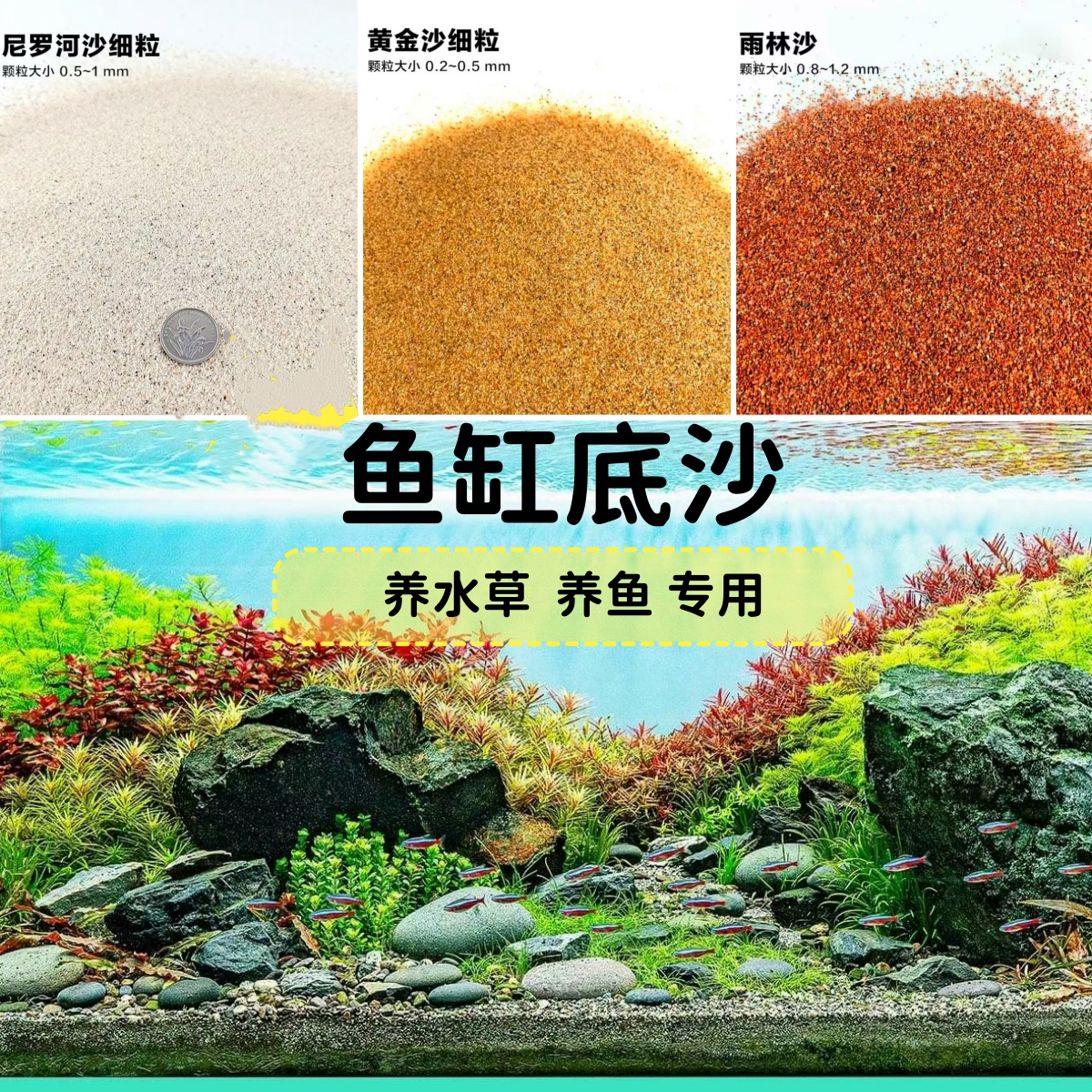溪流沙黄沙红沙铁胆沙
