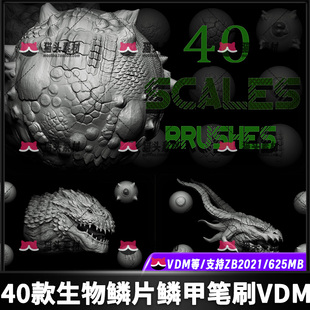 Zbrush 生物 鳞甲 鳞片笔刷 生物鳞甲纹理细节雕刻设计素材zb笔刷